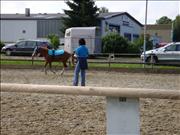 voltitag 2009 _CD2 052